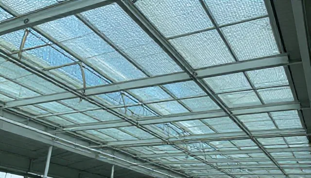 康复指导如何提升诊断效率？场景化分析